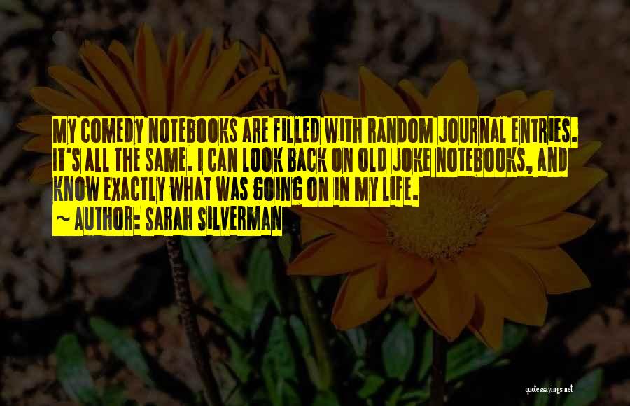 Journal Entries Quotes By Sarah Silverman