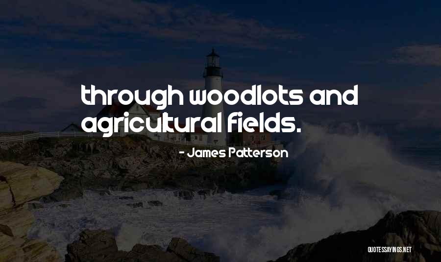 Journal Topics Newspaper Des Plaines Il Quotes By James Patterson