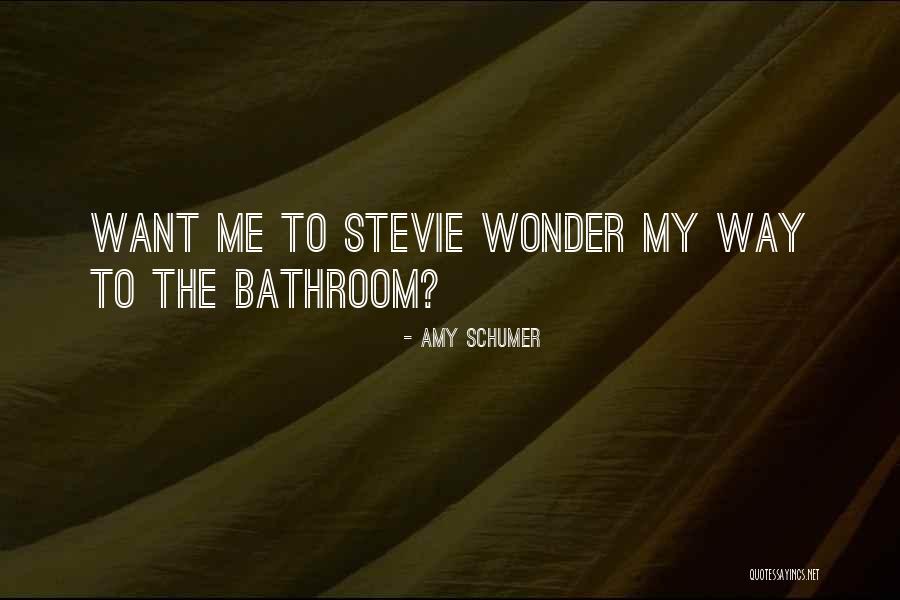 Journaling Your Thoughts Quotes By Amy Schumer Journaling Your Thoughts Quotes By Amy Schumer