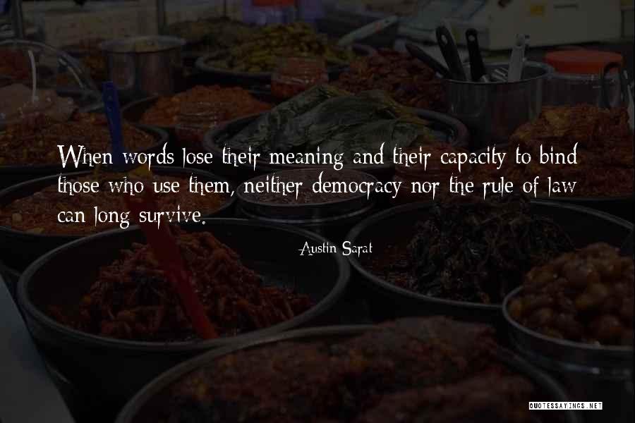 Journalism And Democracy Quotes By Austin Sarat Journalism And Democracy Quotes By Austin Sarat