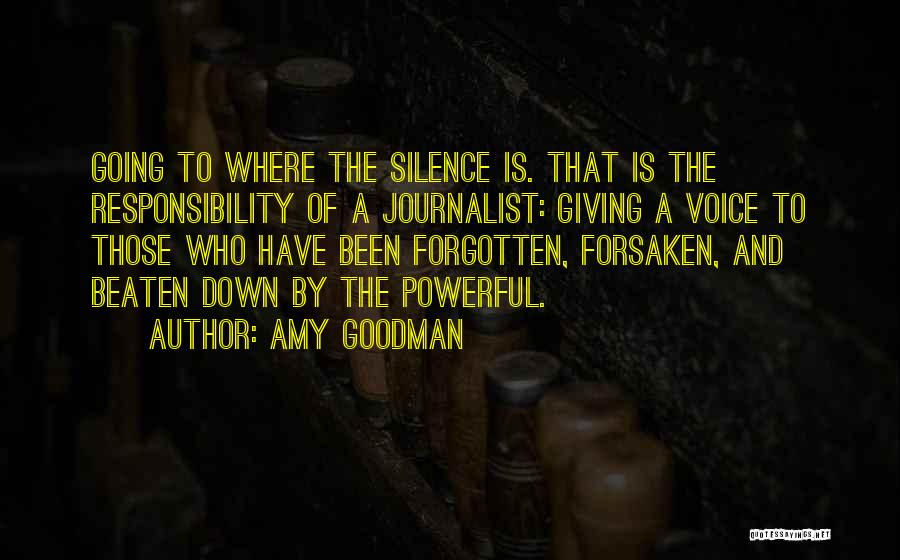 Journalist Quotes By Amy Goodman