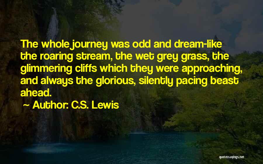 Journey And Dream Quotes By C.S. Lewis