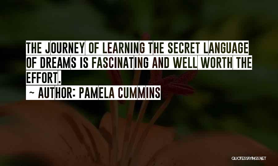 Journey And Dream Quotes By Pamela Cummins