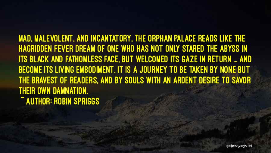 Journey And Dream Quotes By Robin Spriggs