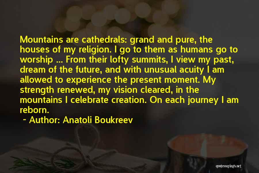 Journey And Experience Quotes By Anatoli Boukreev