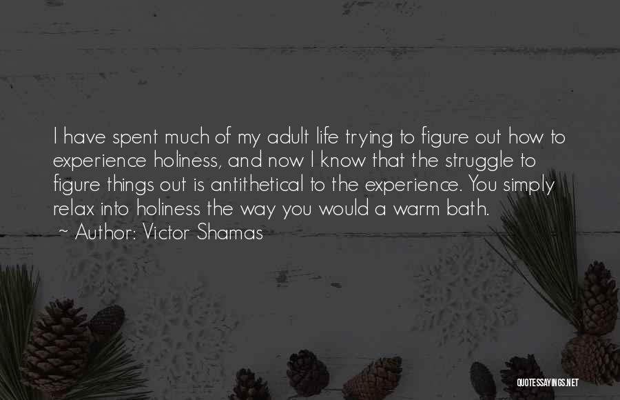 Journey And Experience Quotes By Victor Shamas