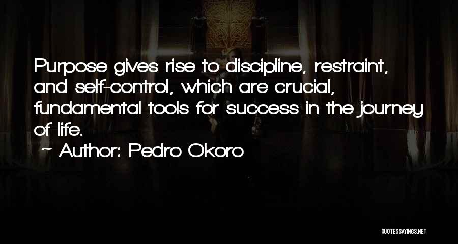 Journey And Success Quotes By Pedro Okoro