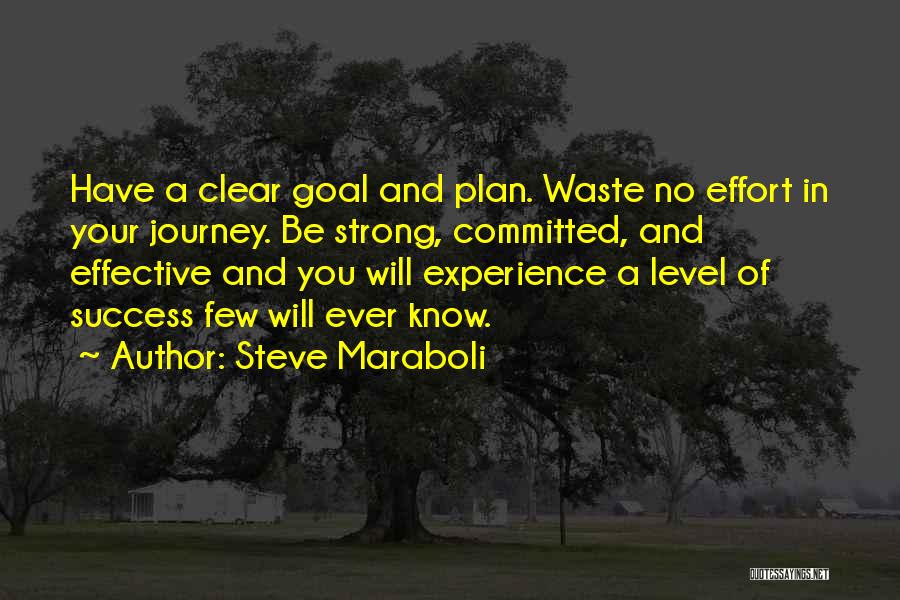 Journey And Success Quotes By Steve Maraboli