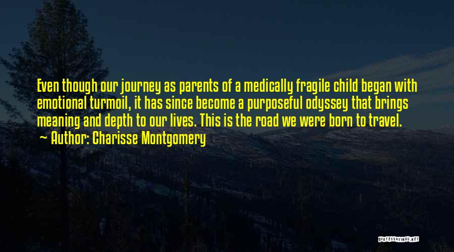 Journey Began Quotes By Charisse Montgomery