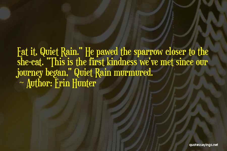 Journey Began Quotes By Erin Hunter