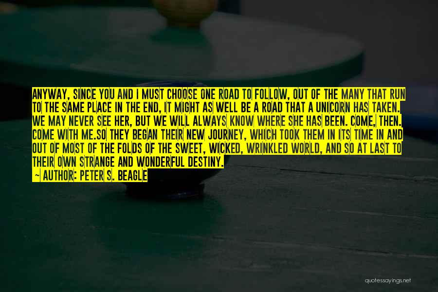 Journey Began Quotes By Peter S. Beagle