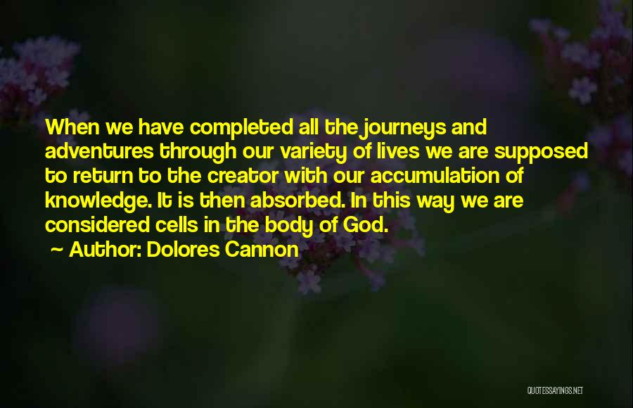 Journey Completed Quotes By Dolores Cannon