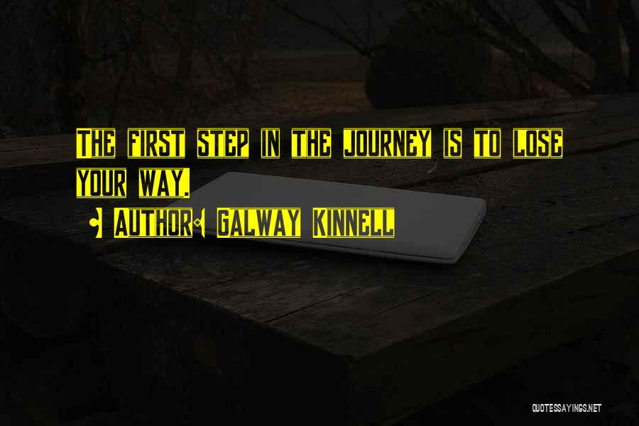 Journey First Step Quotes By Galway Kinnell