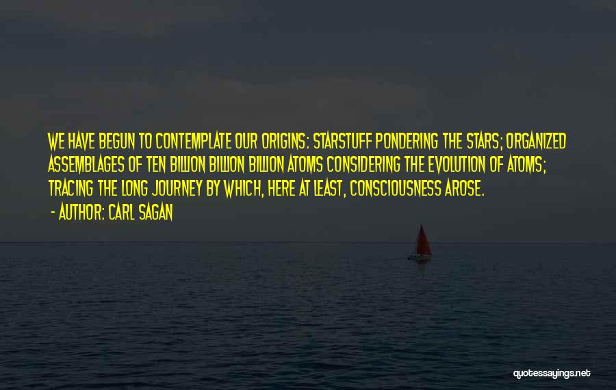 Journey Has Begun Quotes By Carl Sagan
