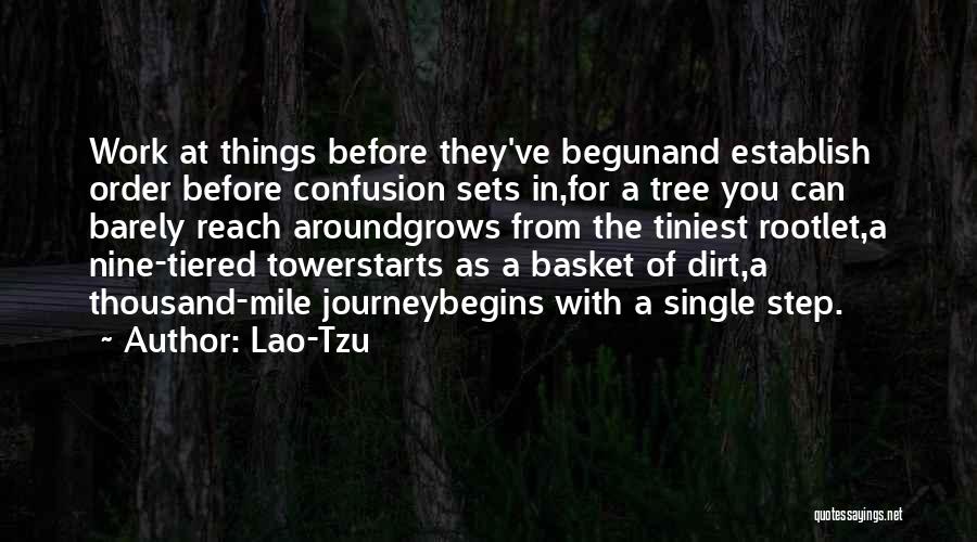 Journey Has Begun Quotes By Lao-Tzu