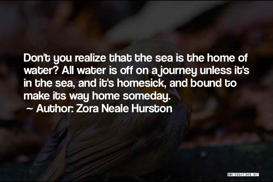 Journey Home Quotes By Zora Neale Hurston