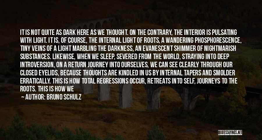 Journey Into Darkness Quotes By Bruno Schulz