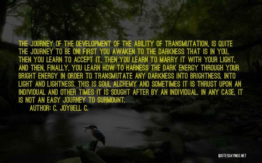 Journey Into Darkness Quotes By C. JoyBell C.