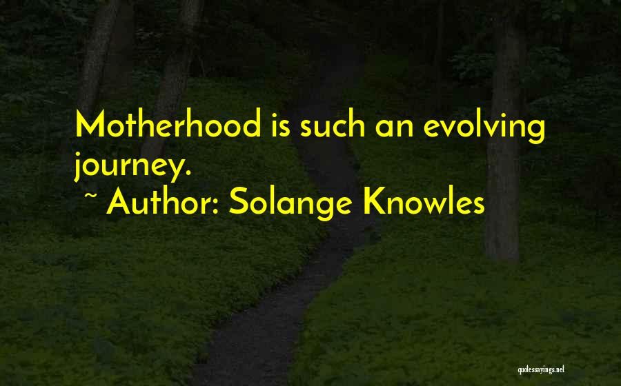 Journey Into Motherhood Quotes By Solange Knowles