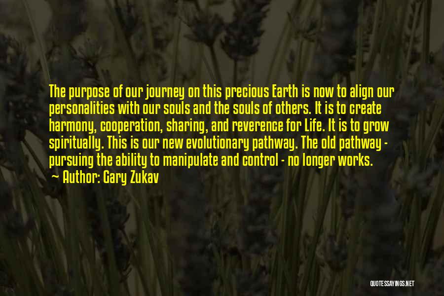 Journey Of The Soul Quotes By Gary Zukav