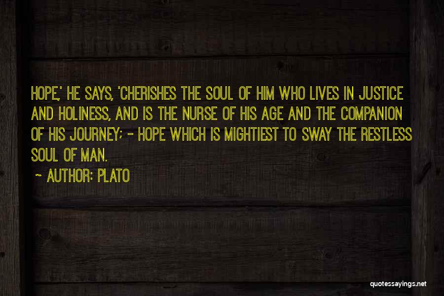 Journey Of The Soul Quotes By Plato