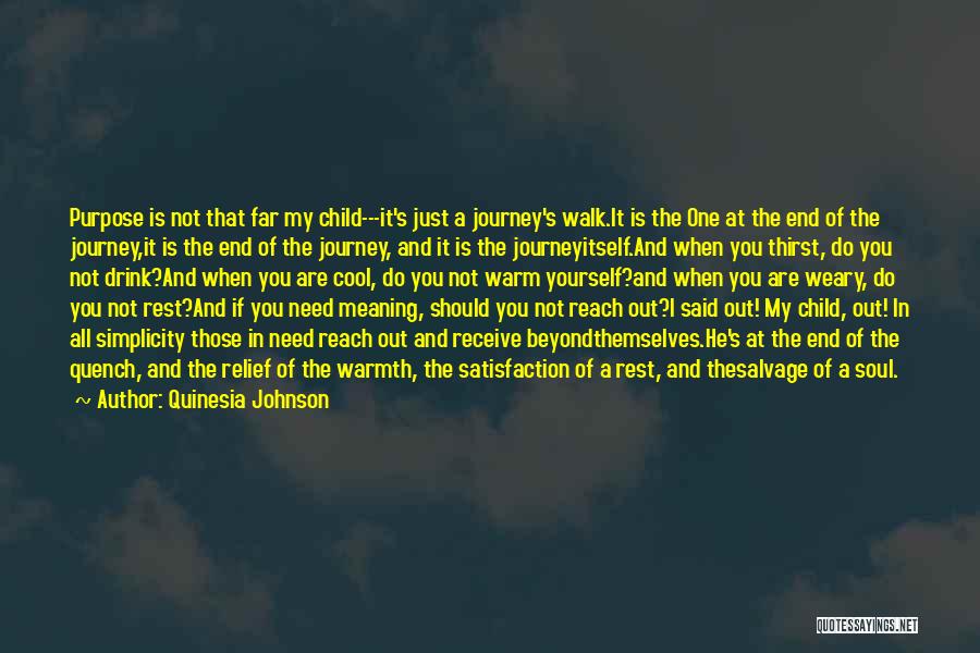 Journey Of The Soul Quotes By Quinesia Johnson