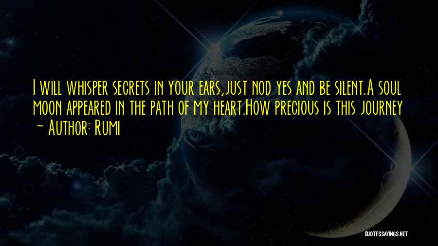 Journey Of The Soul Quotes By Rumi