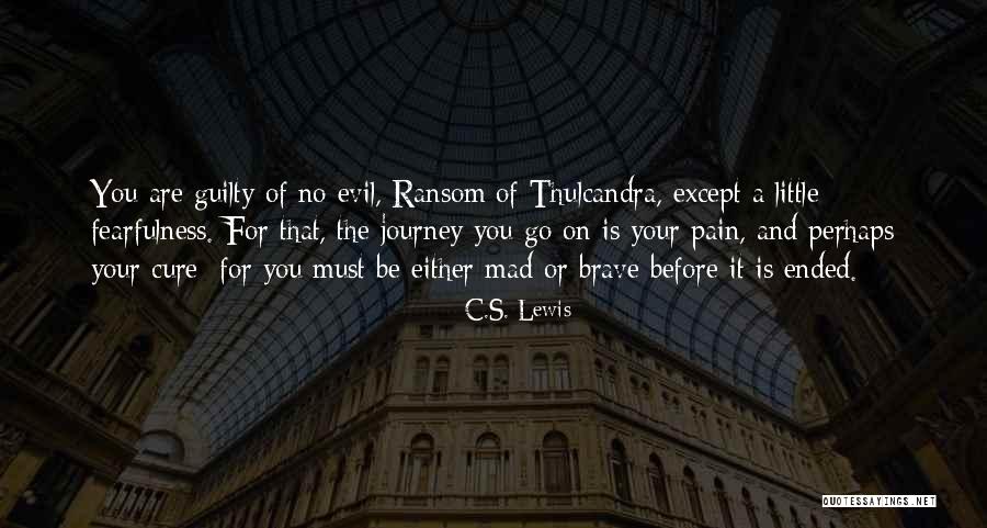Journey Of Wisdom Quotes By C.S. Lewis Journey Of Wisdom Quotes By C.S. Lewis