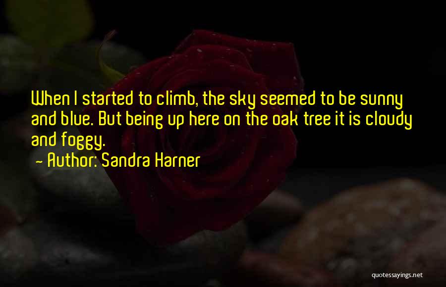 Journey Started Quotes By Sandra Harner