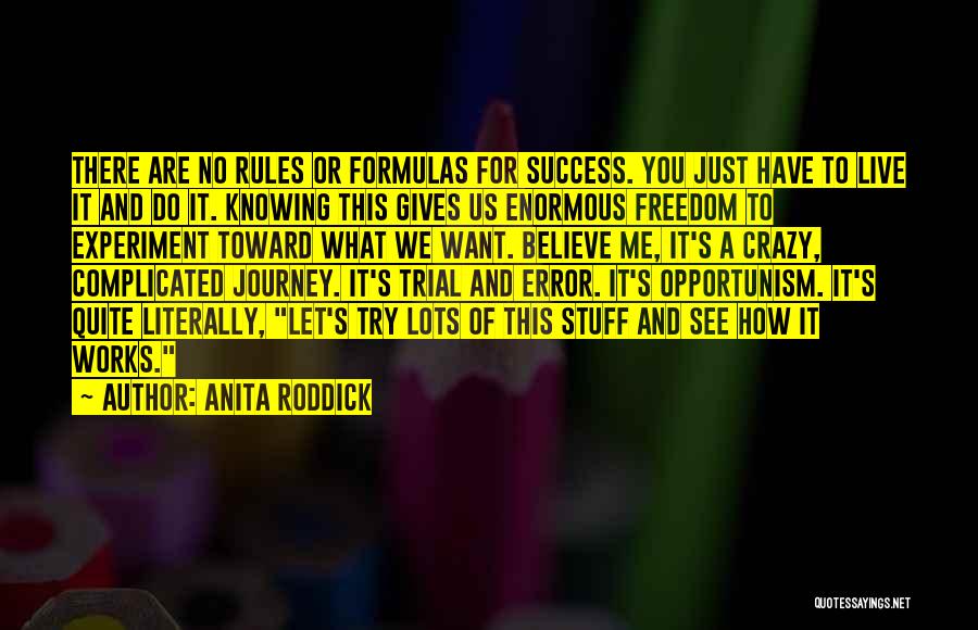 Journey Success Quotes By Anita Roddick