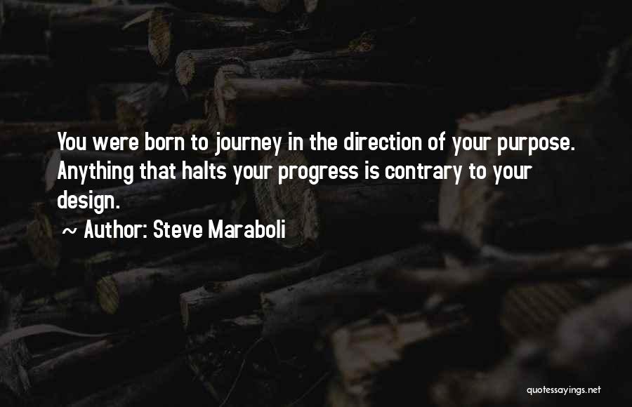 Journey Success Quotes By Steve Maraboli