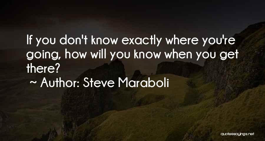 Journey Success Quotes By Steve Maraboli