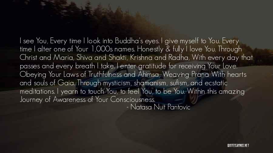 Journey Through Love Quotes By Natasa Nuit Pantovic