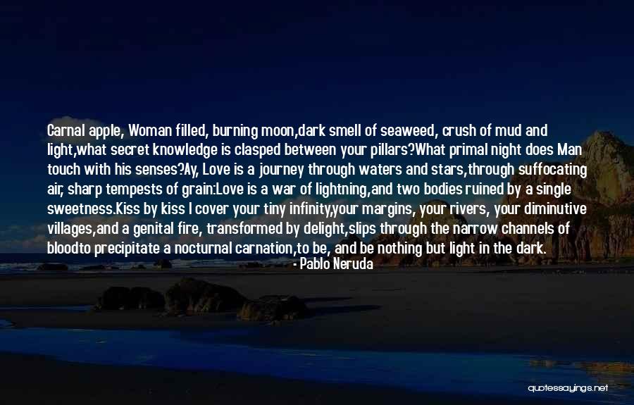 Journey Through Love Quotes By Pablo Neruda Journey Through Love Quotes By Pablo Neruda