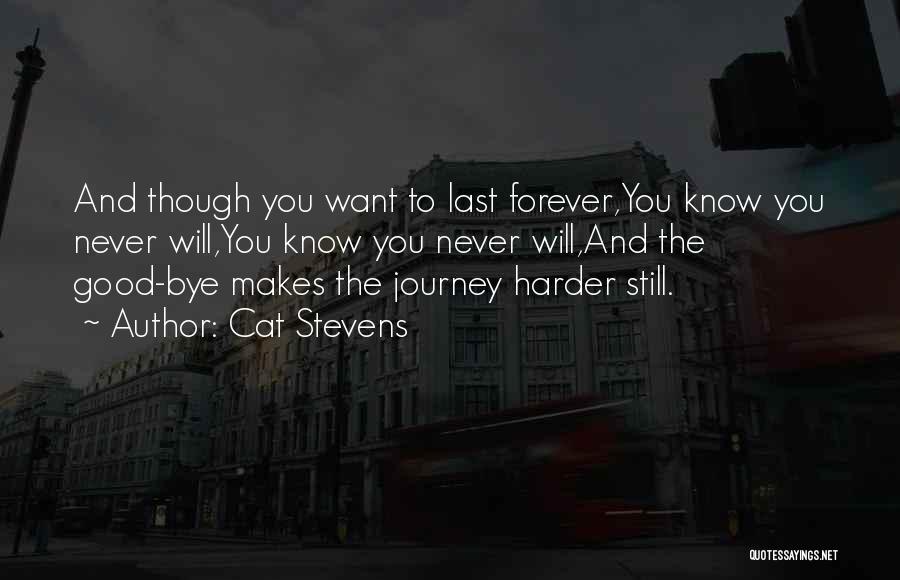 Journey To Forever Quotes By Cat Stevens