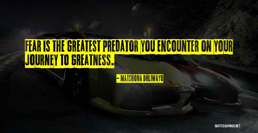 Journey To Greatness Quotes By Matshona Dhliwayo