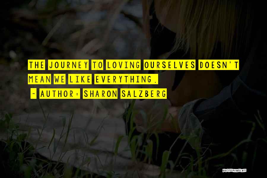 Journey To Love Quotes By Sharon Salzberg