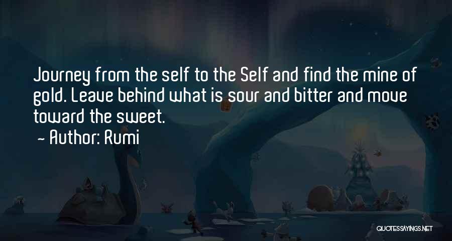 Journey To Self Quotes By Rumi