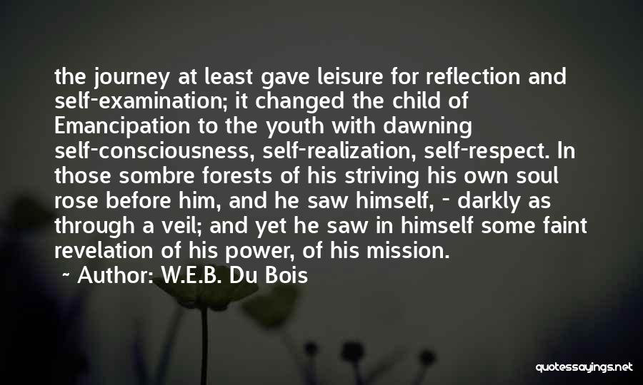 Journey To Self Realization Quotes By W.E.B. Du Bois