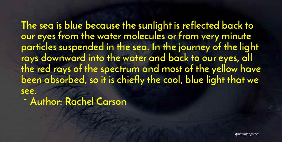 Journey To The Sea Quotes By Rachel Carson