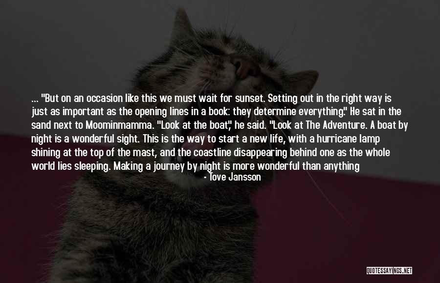Journey To The Top Quotes By Tove Jansson Journey To The Top Quotes By Tove Jansson