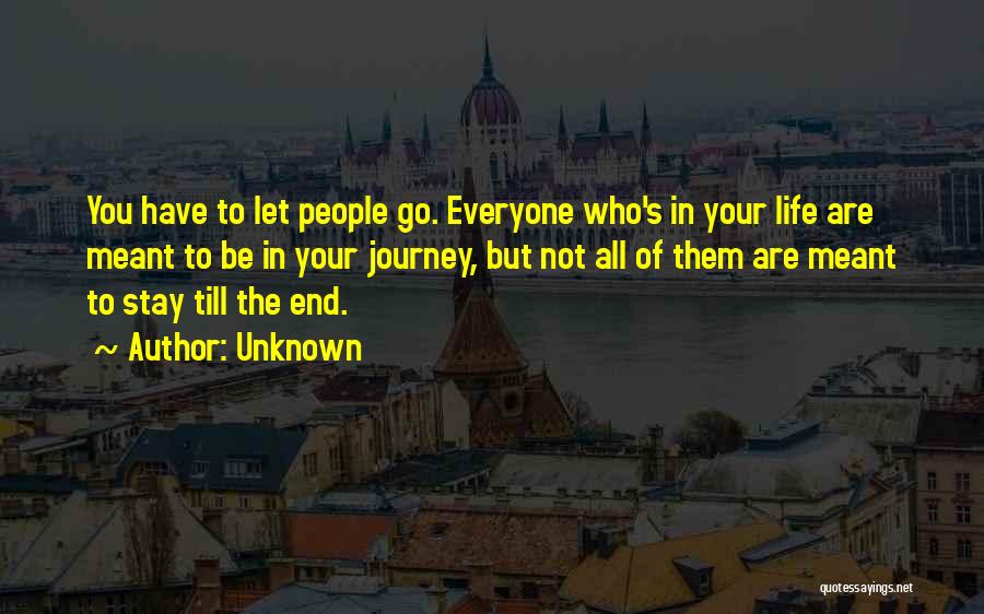 Journey To The Unknown Quotes By Unknown