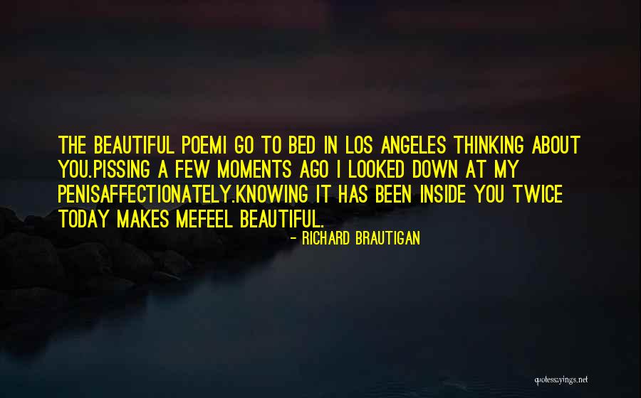 Journey Toward Success Quotes By Richard Brautigan Journey Toward Success Quotes By Richard Brautigan