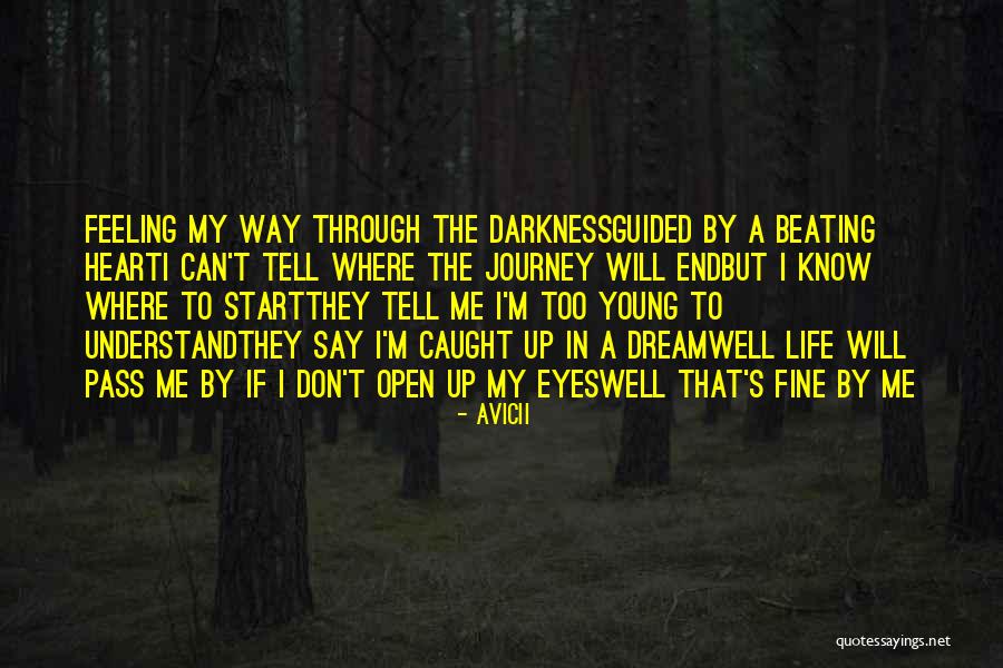 Journey's End Quotes By Avicii Journey's End Quotes By Avicii