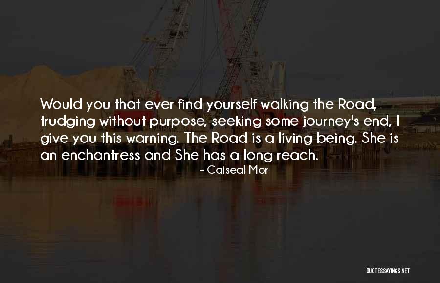 Journey's End Quotes By Caiseal Mor Journey's End Quotes By Caiseal Mor