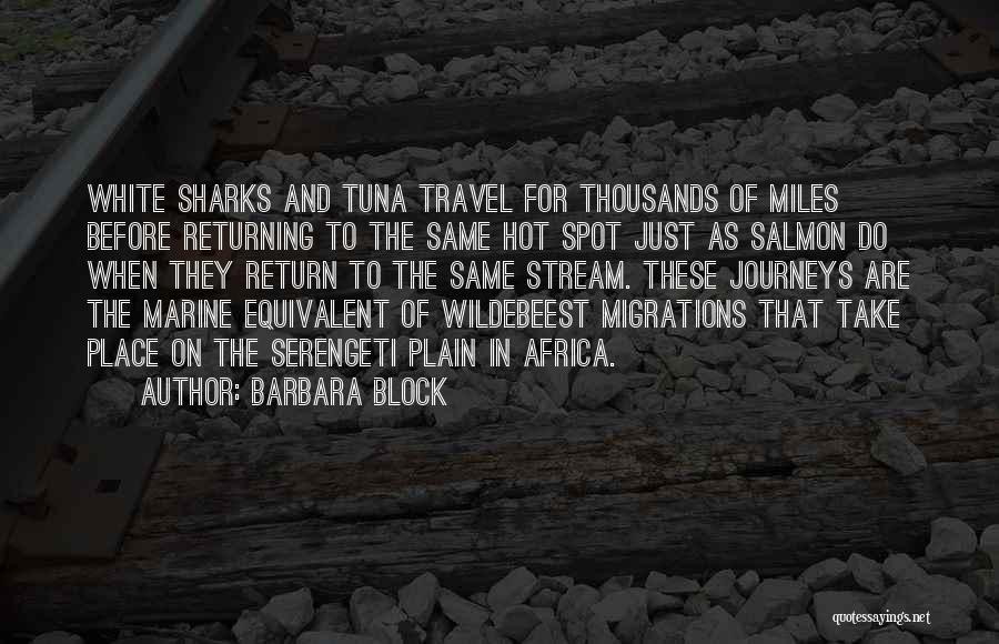 Journeys Quotes By Barbara Block
