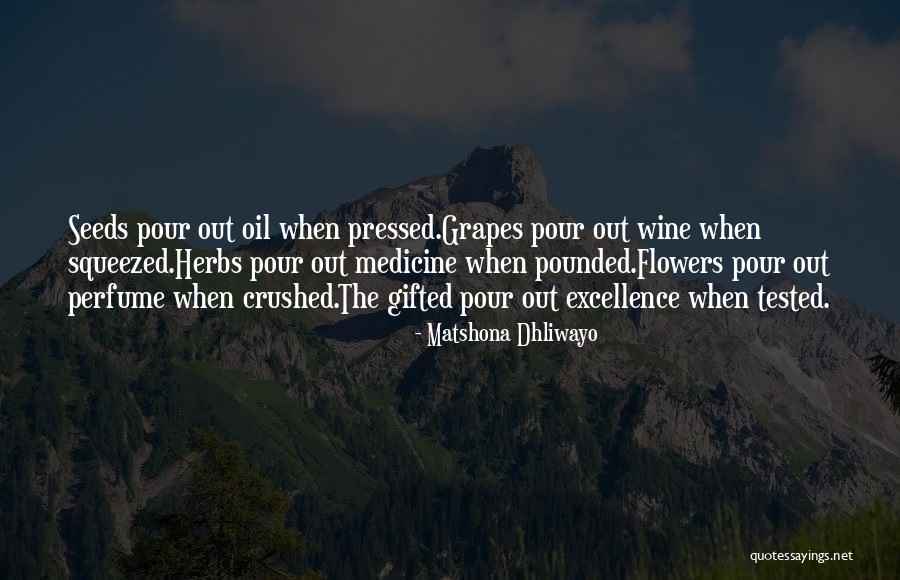 Journos Quotes By Matshona Dhliwayo Journos Quotes By Matshona Dhliwayo