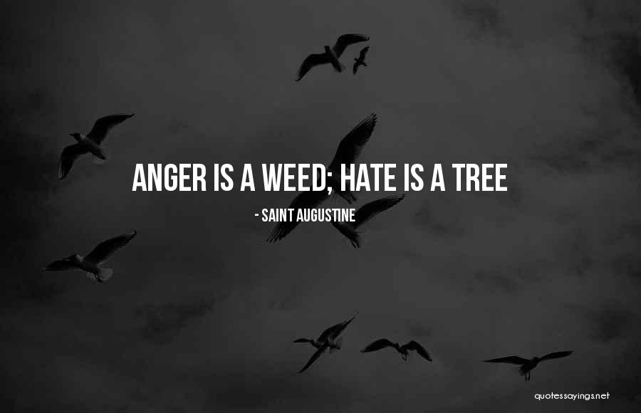 Jouvenelle Quotes By Saint Augustine