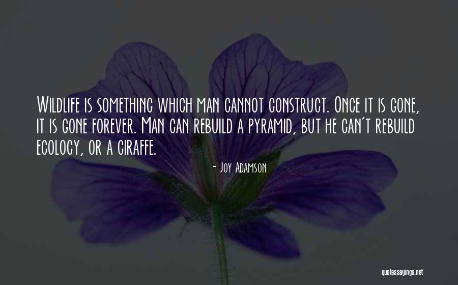 Joy Adamson Quotes 1656542 Joy Adamson Quotes 1656542