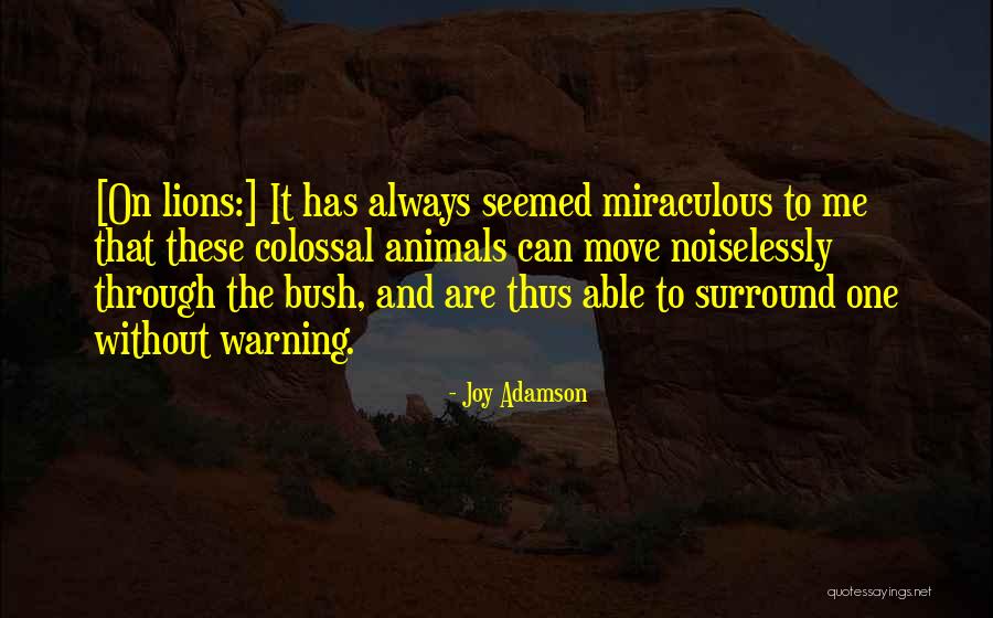Joy Adamson Quotes 1773879 Joy Adamson Quotes 1773879